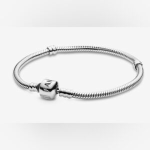 Pandora Silver Snake Chain Charm Bracelet